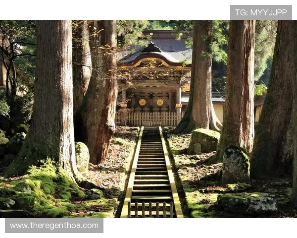 尊龙赴美之旅：文化与风景的双重探索