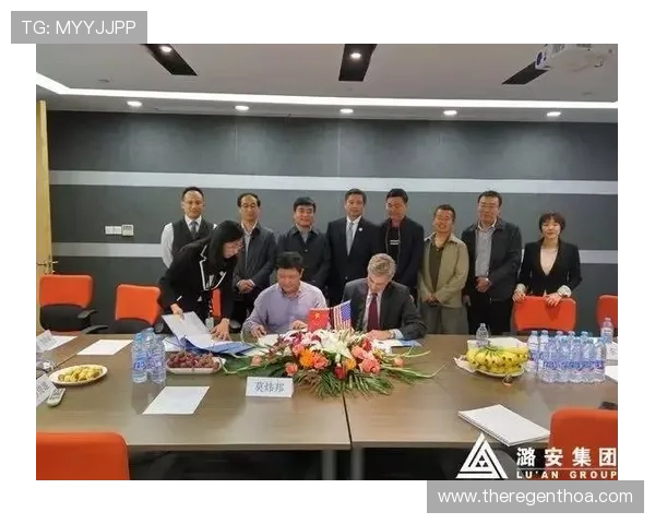 Z6集团网页：详细解析集团旗下各业务板块的专业介绍页面