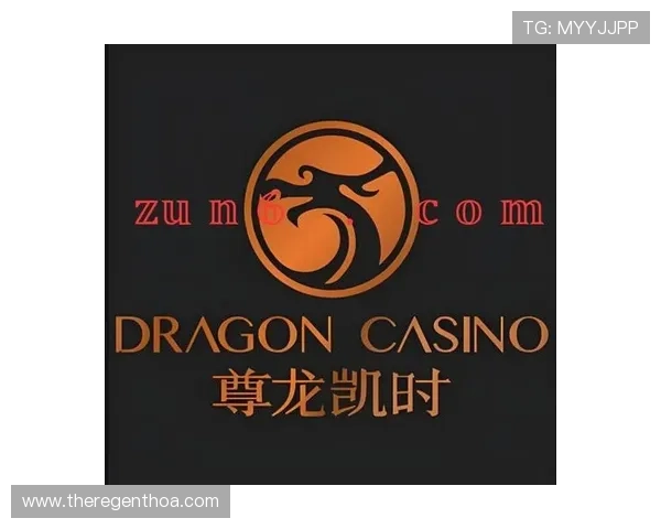 中国尊龙凯官网安全登录指南，确保账号信息安全与游戏顺畅体验的实用操作技巧